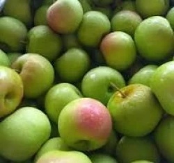 Hawkes Bay Apples